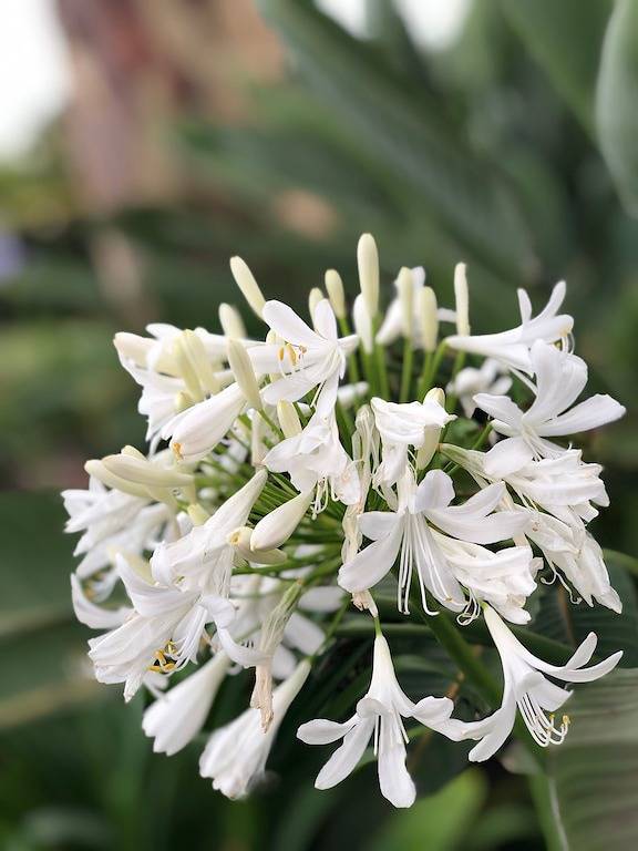 Neu: Ruhiger Rückzugsort - \"The Barn House\", Ingleside [Sydney Northern Beaches] in Sydney, New South Wales