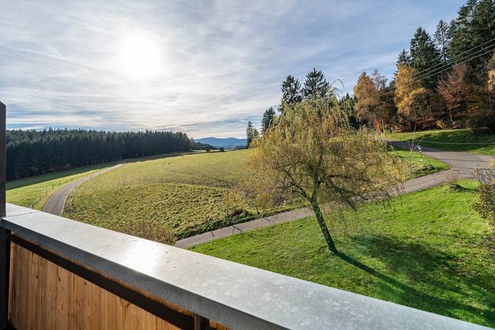 Location de vacances pour 13 personnes, avec Balcon et Jardin à Mühlenbach - 2