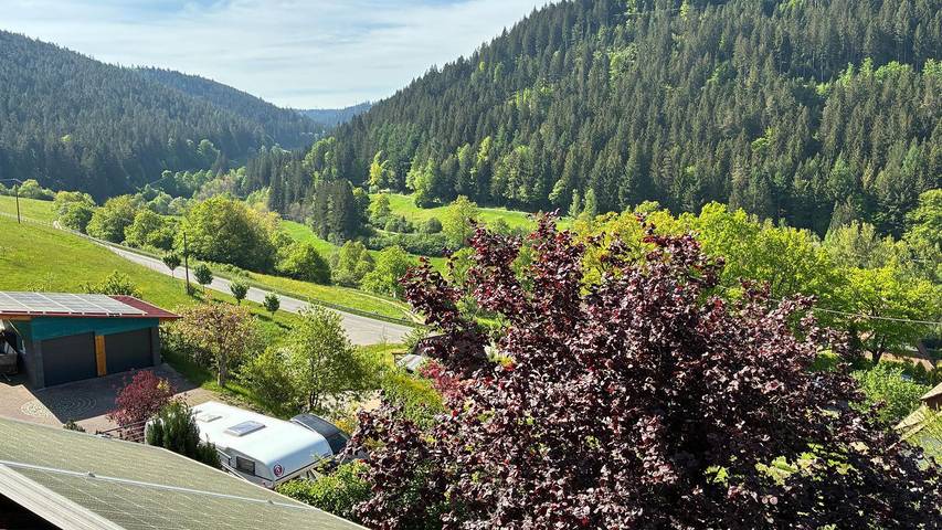 Ferienwohnung für 3 Personen, mit Balkon, mit Haustier in Baiersbronn - 4