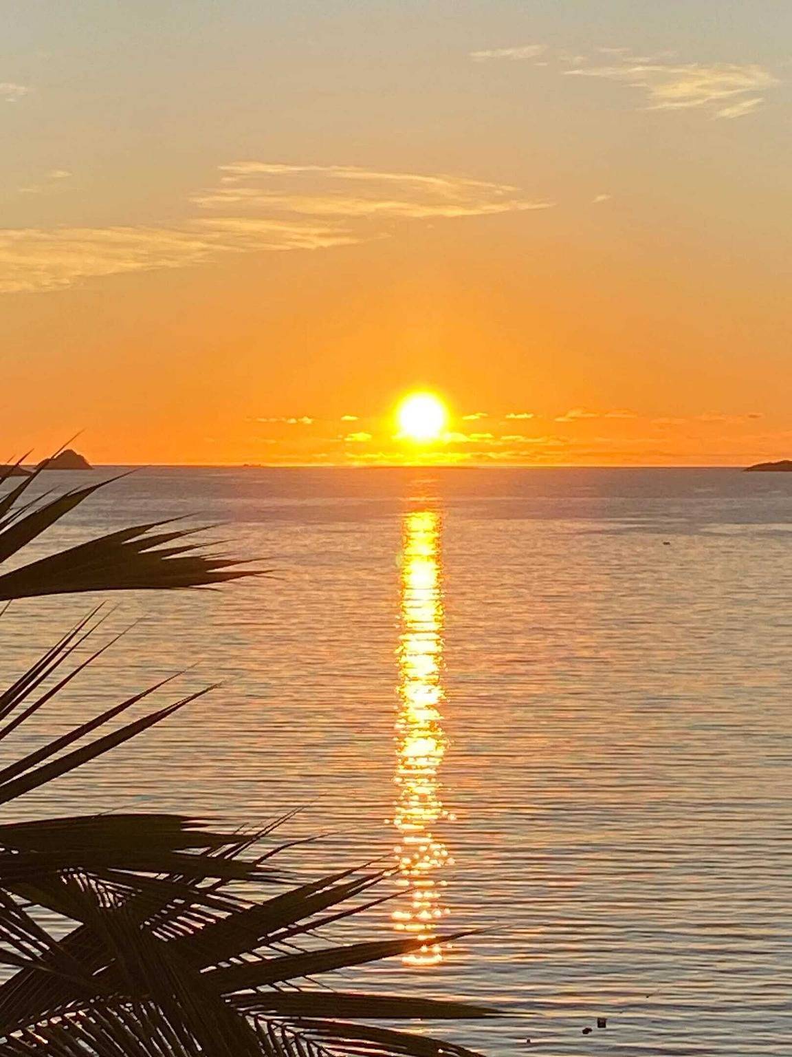 Cozy house with garden in Le Robert, 40 m², air conditioning in Le Robert, Martinique