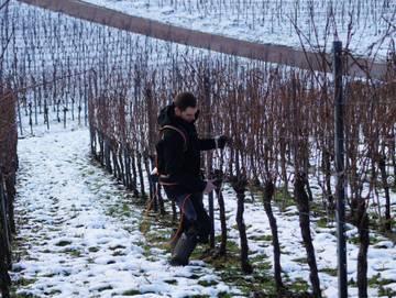 Ferienwohnung für 6 Personen in Obersulm, Naturpark Schwäbisch-Fränkischen Wald, Bild 2
