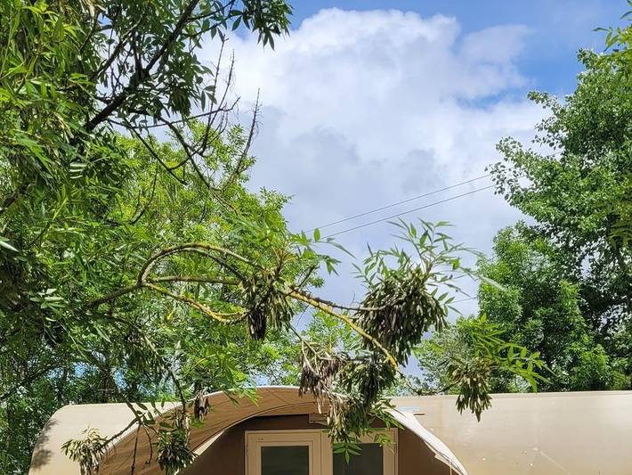 Bungalow pour 4 personnes au Parc Naturel Régional du Marais poitevin - 2