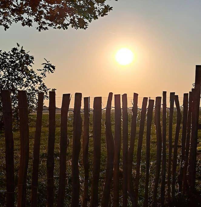 Location de vacances pour 2 personnes, avec jardin ainsi que terrasse et vue à Mettet - 3
