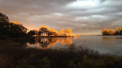 Bed And Breakfasts for 4 Guests in Virginia, USA, Picture 1