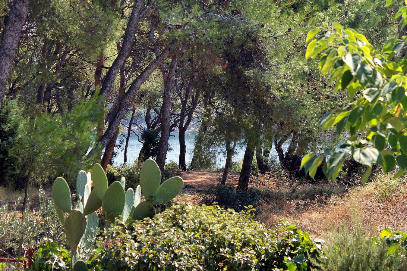 Appartamento vacanze a Verbosca a partire da 105€ a notte