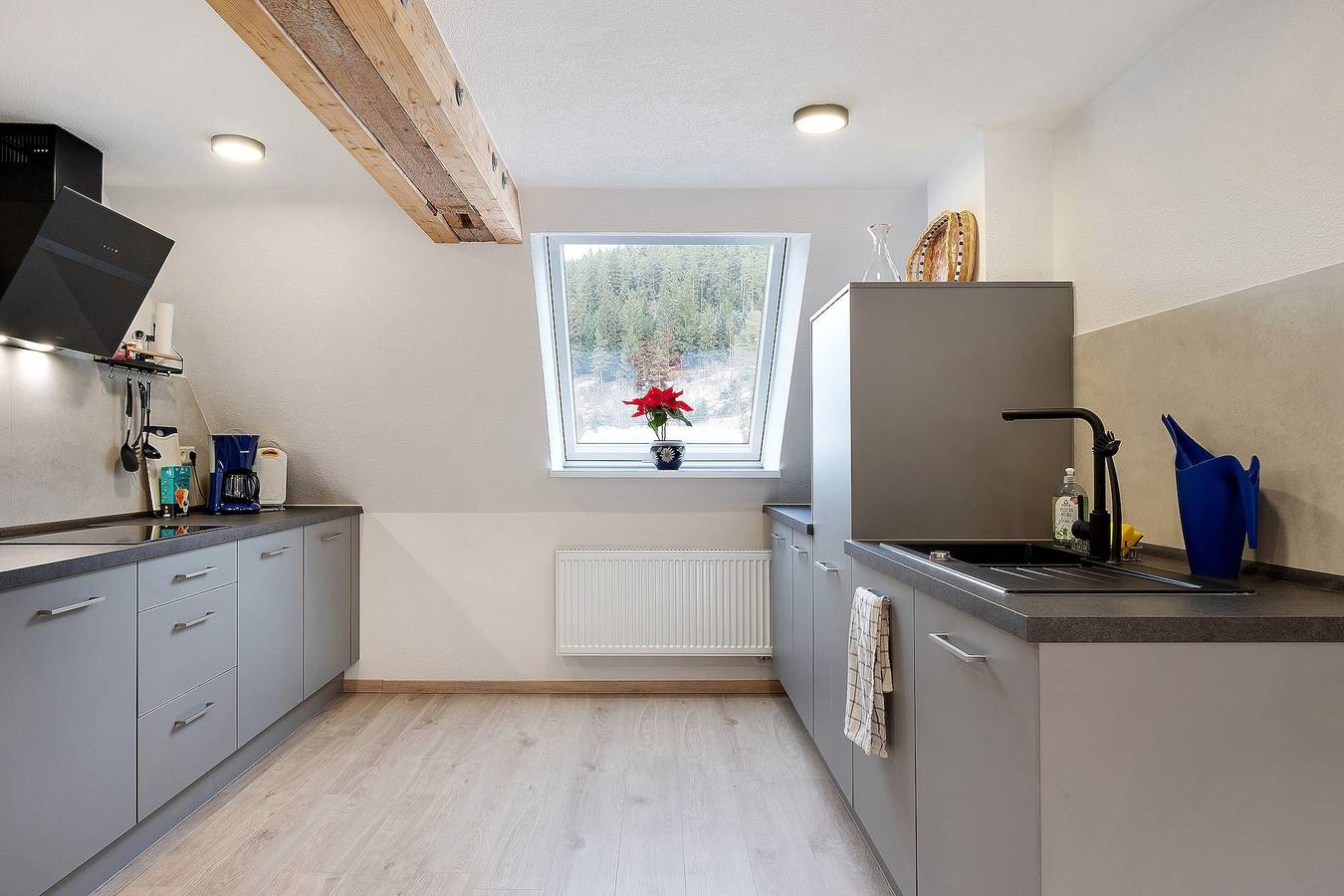 Ganze Wohnung, Apartment 'Haus An Der Breg' mit Wlan in Vöhrenbach, Mittlerer Schwarzwald