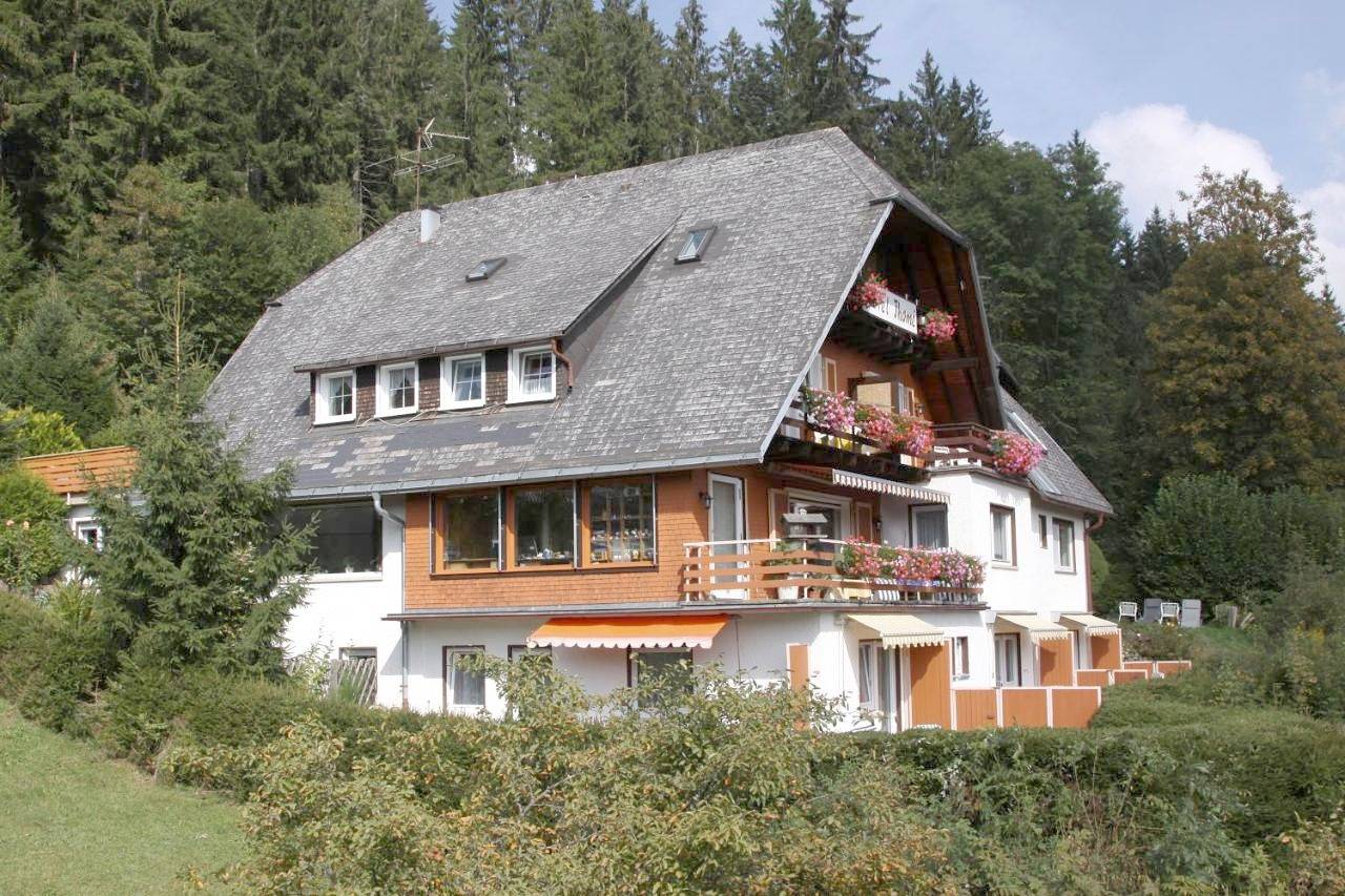 Single Room in Hinterzarten, Forêt-Noire du Sud
