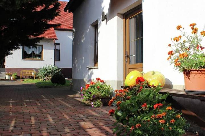 Ferienhaus für 6 Personen, mit Garten und Terrasse, mit Haustier - 1