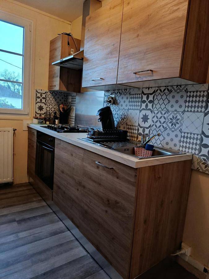 Location de vacances pour 4 personnes, animaux acceptés à Argent-sur-Sauldre - 3