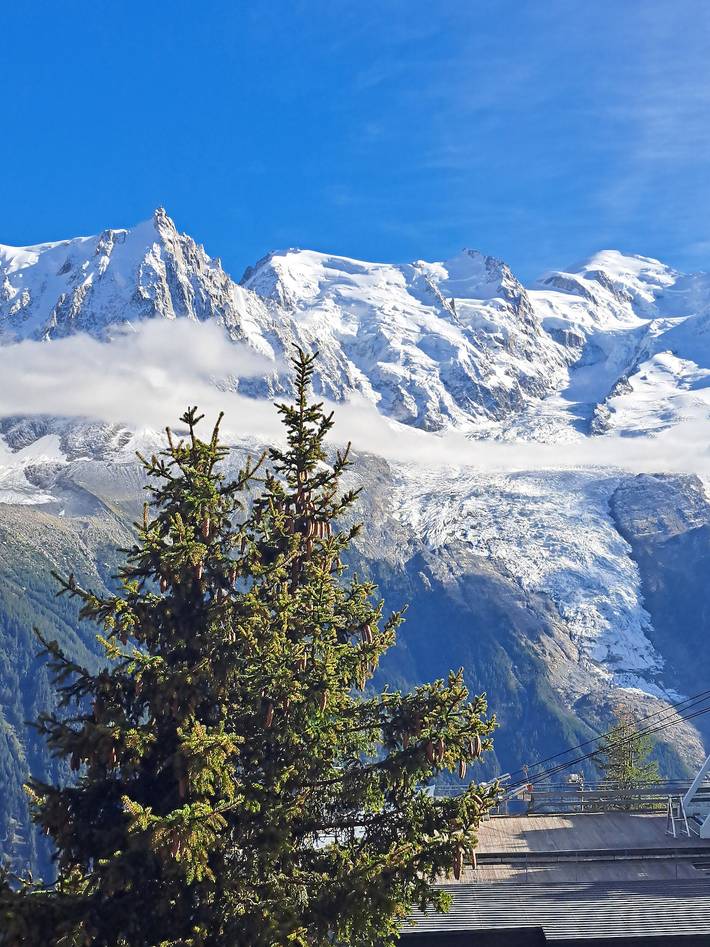 Gîte pour 8 personnes, avec sauna et jacuzzi, adapté aux familles dans Les Carroz - 4