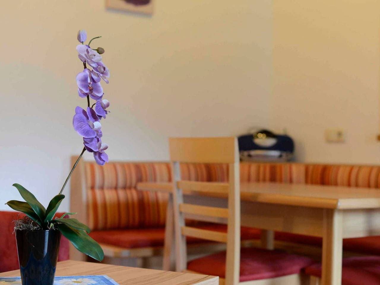 Ganze Ferienwohnung, Landhaus Pflauder - Ferienwohnung 2-3 Pers. in Grän, Allgäuer Alpen (Österreich)