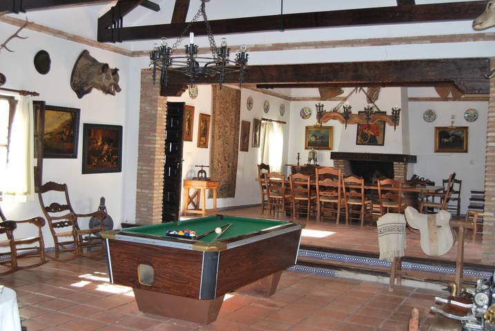 Finca für 24 Personen, mit Garten, mit Haustier in Andalusien - 3