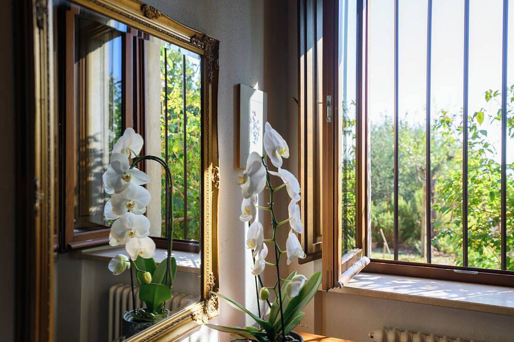 Appartamento intero, Montalcino Tuscany Home - Casa Vacanza Via Spagni 44 in Montalcino, Val d’Orcia