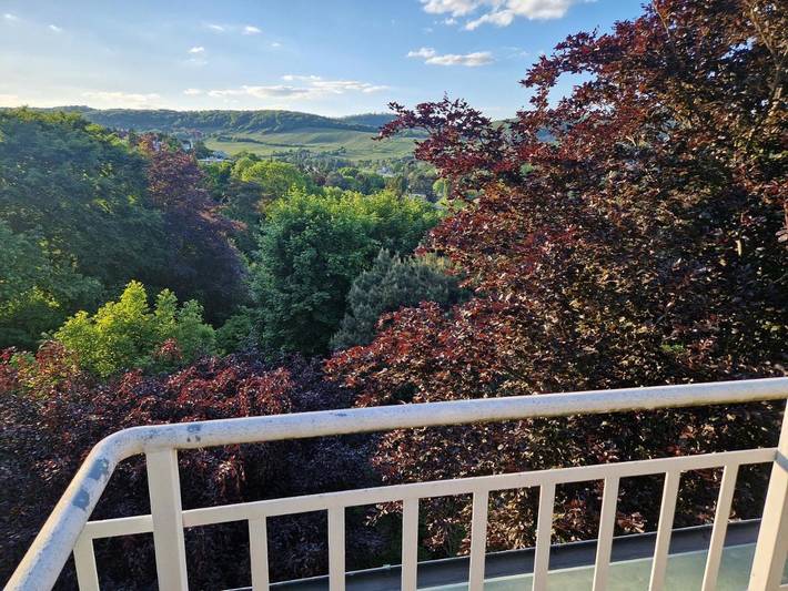 Gîte pour 2 personnes, avec piscine ainsi que vue et terrasse à Vienne (Autriche) - 2