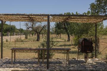 Finca in Inca, Mallorca Inselmitte für 8 