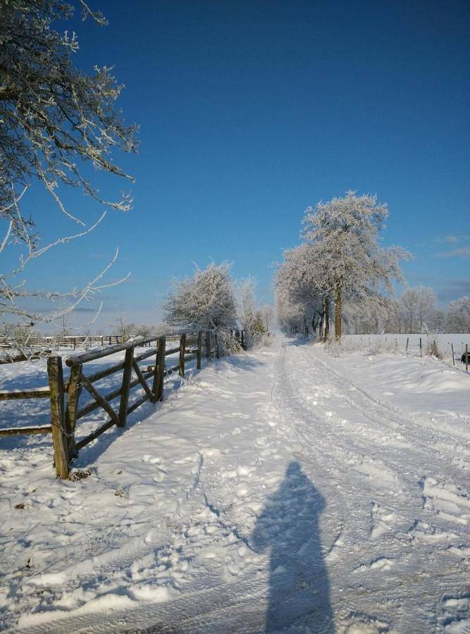 Gîte pour 3 personnes à Korbach - 2