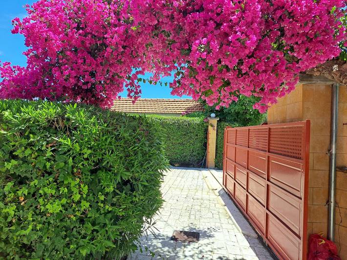 Location de vacances pour 4 personnes, avec terrasse et jardin dans Région du Péloponnèse - 2