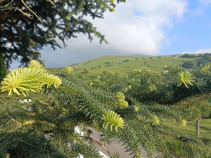 Casa rural para 10 personas, con terraza además de vistas y piscina en Valle del Pas - 3