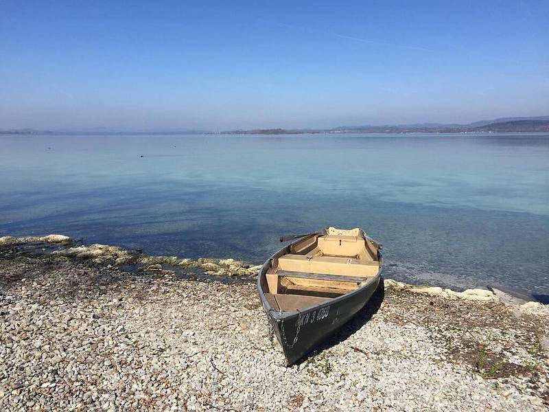 Ganze Ferienwohnung, Haus Münsterblick (Peter und Paul) - Ferienwohnung Paul, 81 qm, 2 Schlafzimmer, max. 5 Personen in Reichenau, Untersee