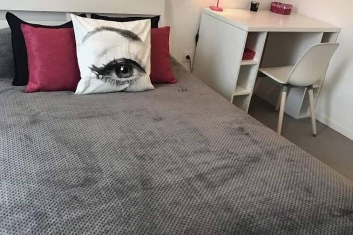 Gîte pour 10 personnes, avec terrasse, animaux acceptés à Ivry-sur-Seine - 3