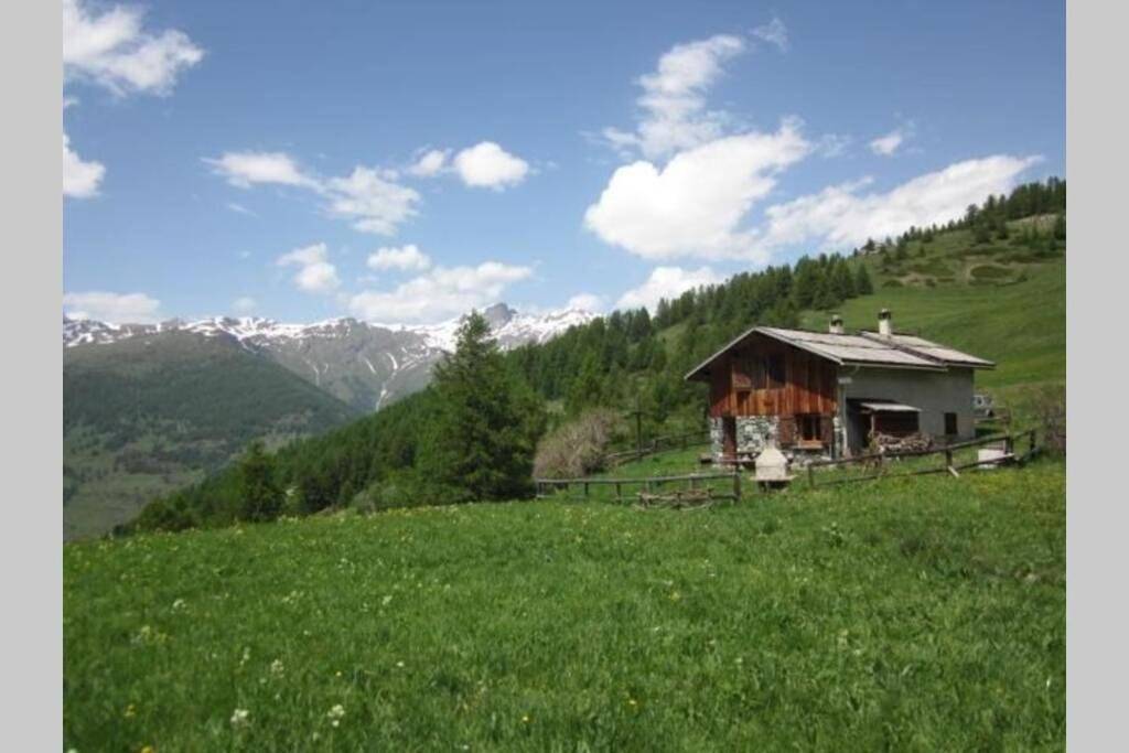 Chalet d'alpage Le Lauzeron in Abriès, Queyras