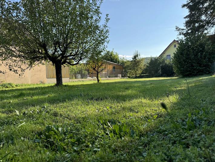 Ferienhaus für 6 Personen, mit Garten, mit Haustier - 1