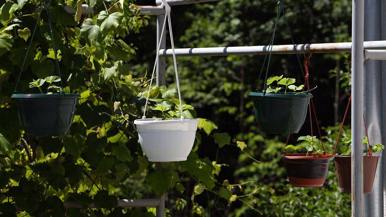 Ganze Ferienwohnung, Ferienwohnung für 7 Personen (56 m²) in Poljanak in Smoljanac, Plitvicer Seen