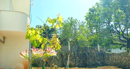 Studio für 3 Personen in Ksamil, Albanien, Bild 4