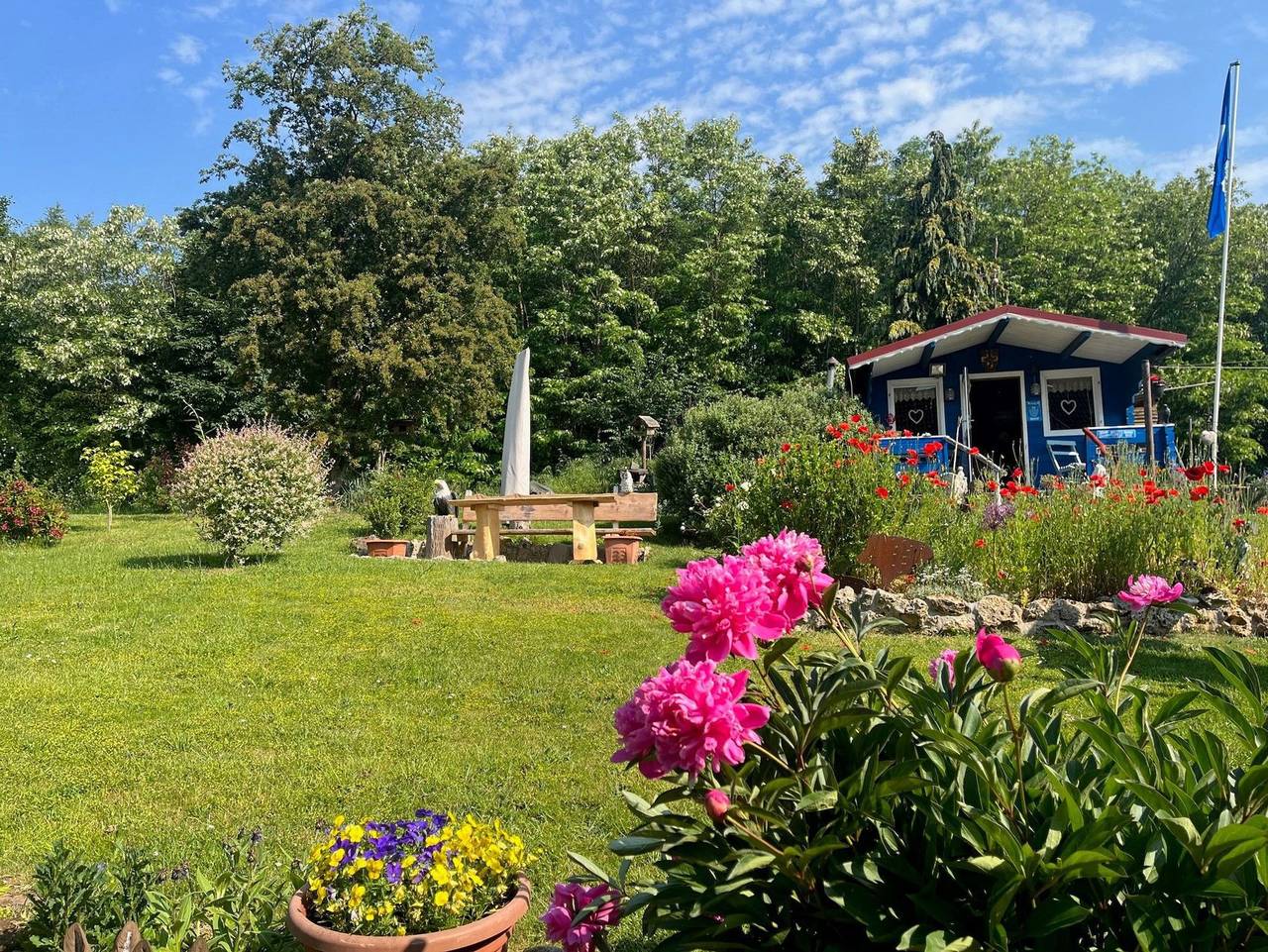 Ganze Ferienwohnung, Ferienwohnung Pfaffenholzblick - Ferienwohnung Pfaffenholzblick in Bad Sachsa, Harzvorland