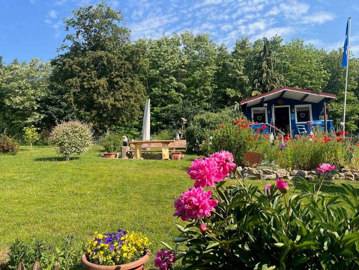 Ferienwohnung für 5 Personen, mit Terrasse und Garten in Bad Sachsa - 3