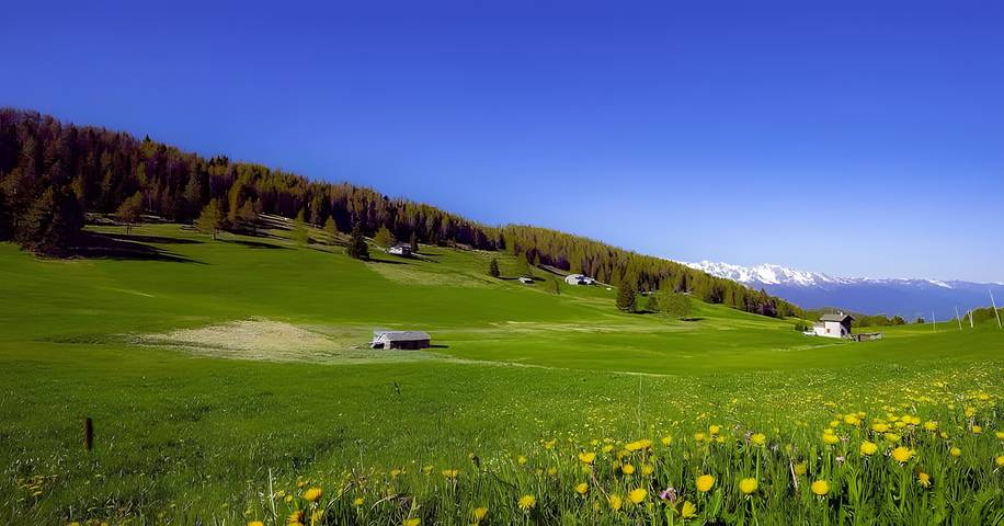 Ferienhaus 'Trivignolife - Chalet in Montagna' mit privatem Garten, Balkon und Wlan in Tirano, Veltlin