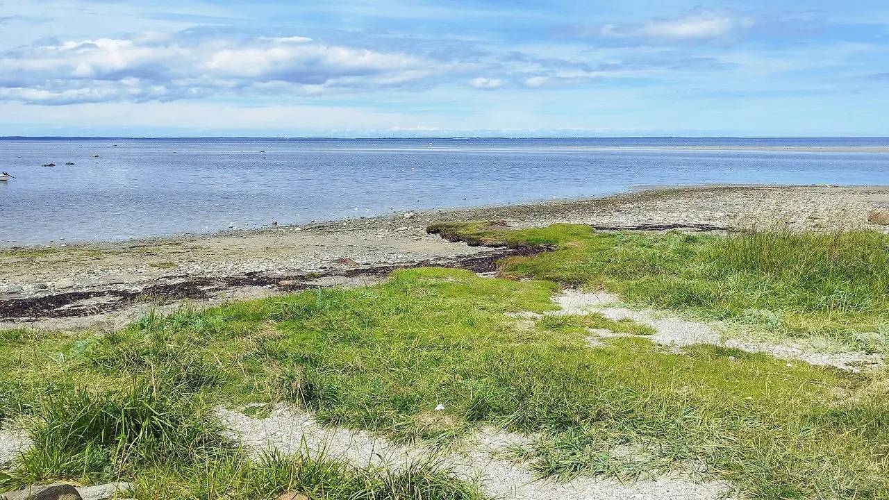 Ferienhaus für 4 Personen (56 m²) in Jægerspris in Kulhuse, Frederikssund Kommune