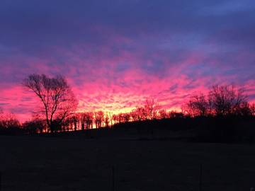 Lake House for 6 Guests in Ozark Mountains, Missouri, Picture 4