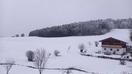 Ferienhaus für 8 Personen in Kollnburg, Vorderer Bayerischer Wald, Bild 1