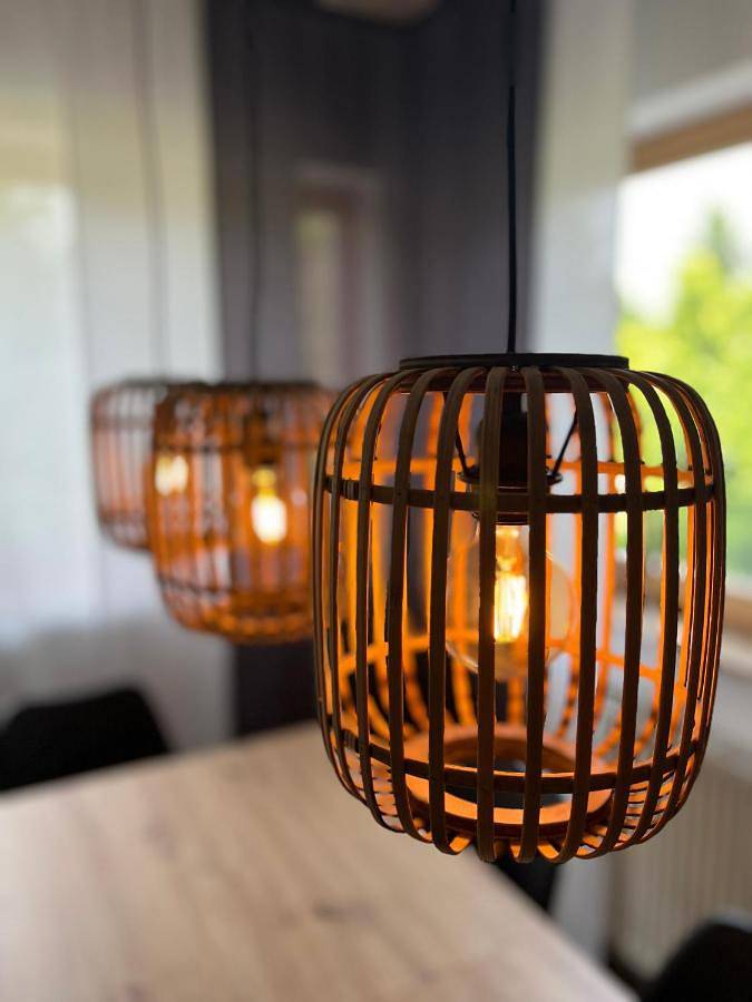 Gîte pour 4 personnes, avec terrasse à Oberlungwitz - 3