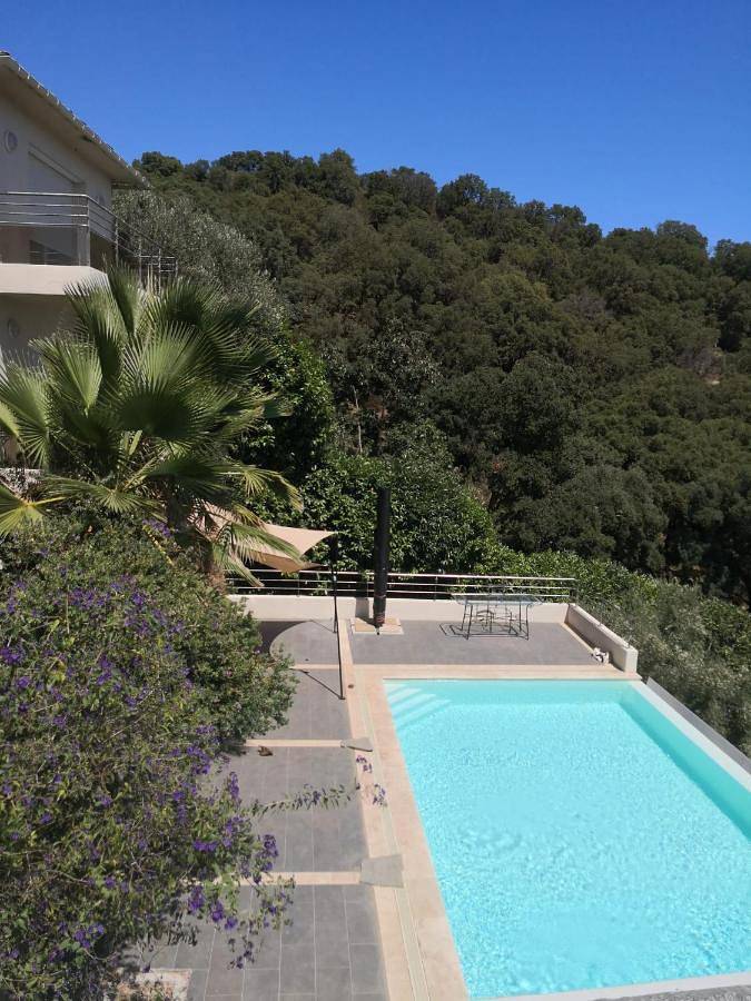 Appartement entier, Studio moderne magnifique vue sur mer dans cadre calme et verdoyant in Furiani, Cap Corse