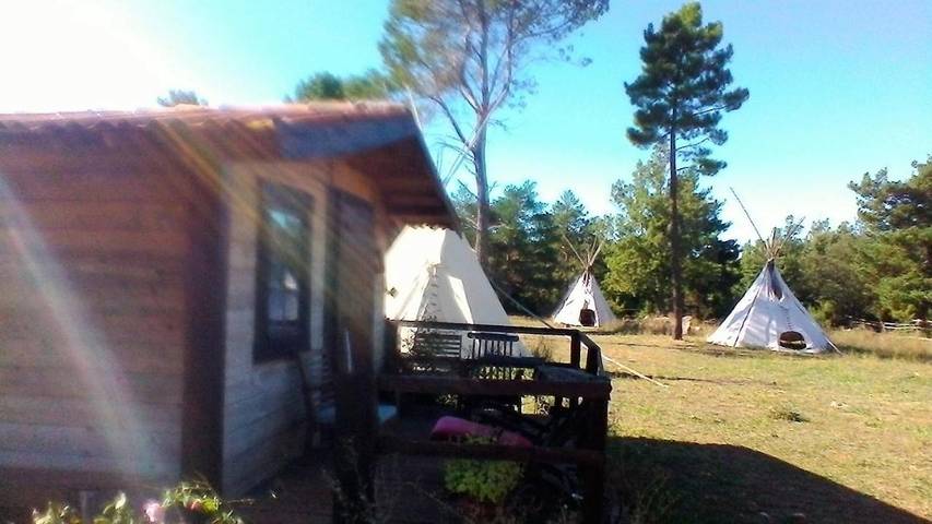 Maison d’hôte pour 7 personnes, avec jardin, animaux acceptés à Régusse - 4