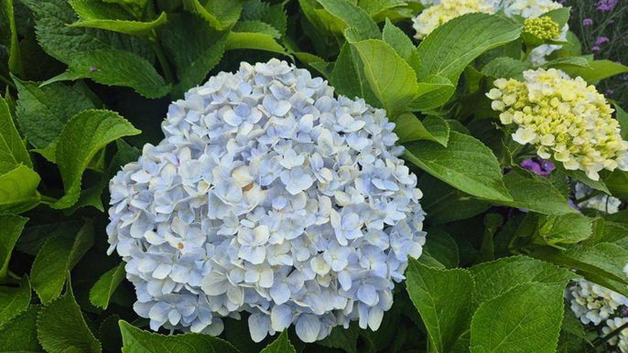 Ferienhaus für 6 Personen (130 m²) in Kampen in Kampen (Sylt), Sylt