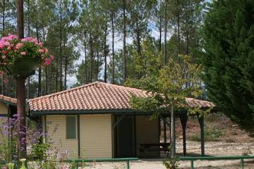 Location de vacances pour 6 personnes, avec jardin à Brocas