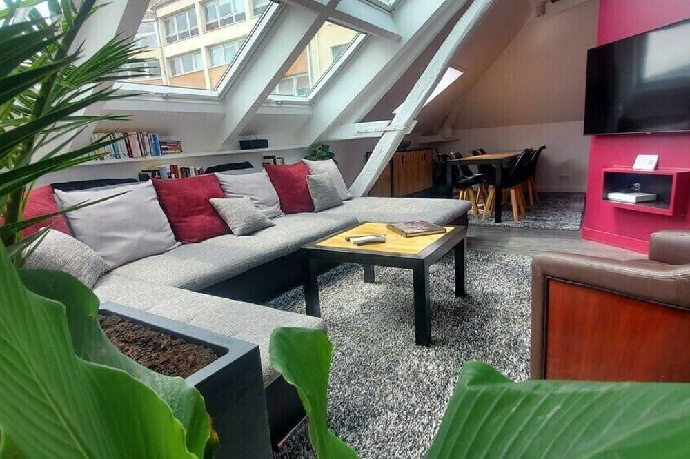 Appartement entier, La Maison V.H. - Loft executif, de 110m² in Troyes, Aube