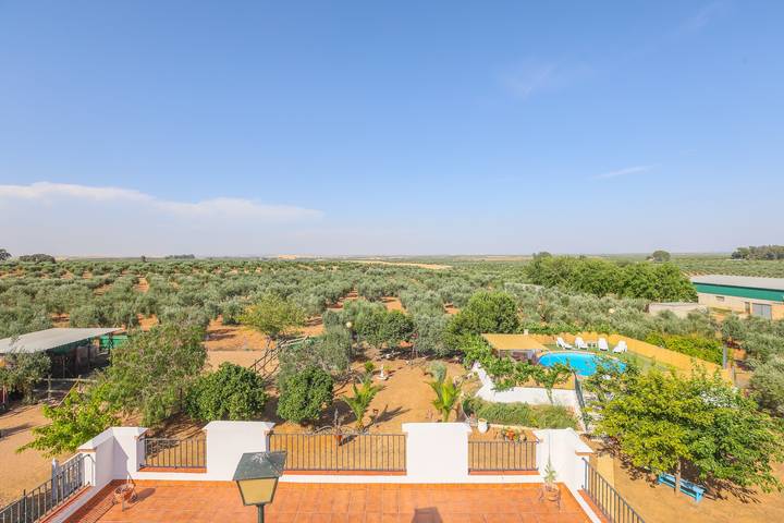 Casa rural para 6 personas, con jardín en Campiña de Morón y Marchena - 4