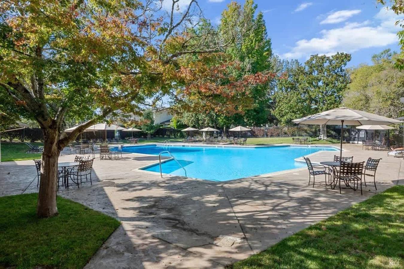 Entire apartment, Charming Napa Retreat   Walk to Wineries   Dining in Napa Valley