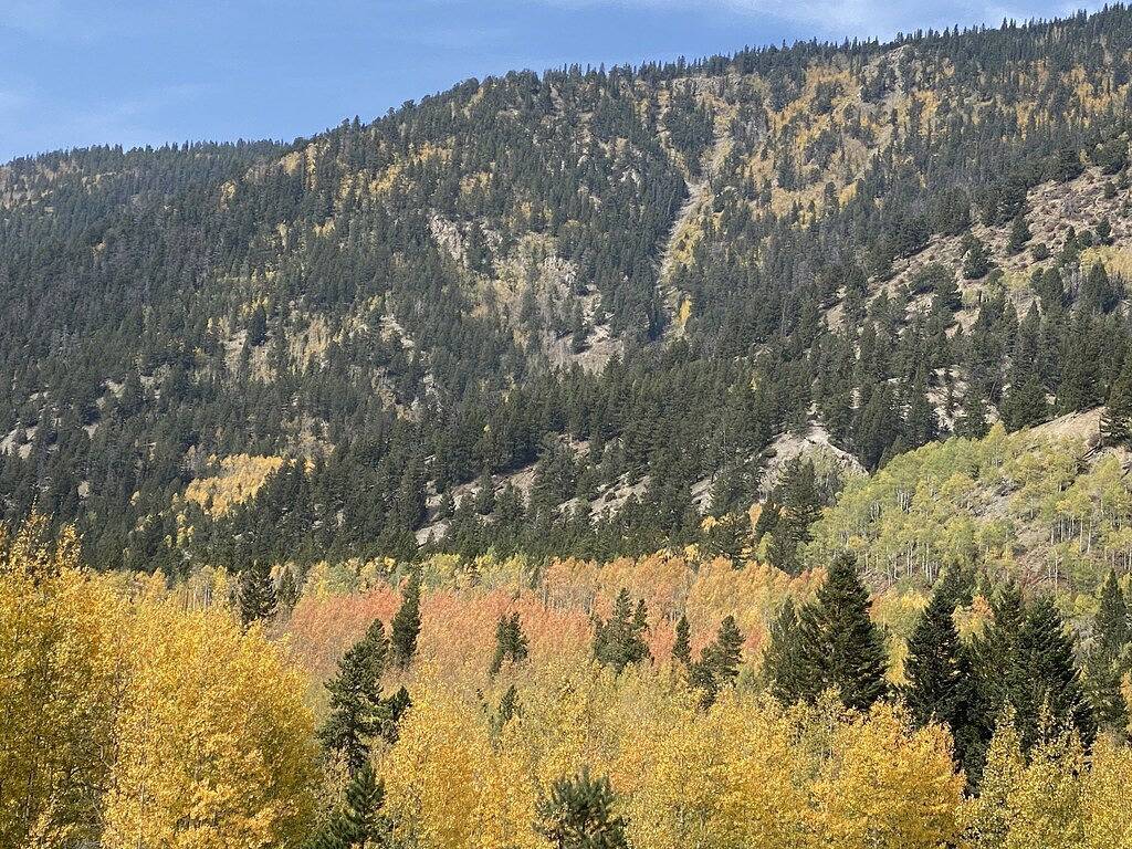 Luxury Riverfront Home auf 2 Hektar, mit Whirlpool, nur wenige Minuten von der Innenstadt von Bv in Buena Vista, Chaffee County