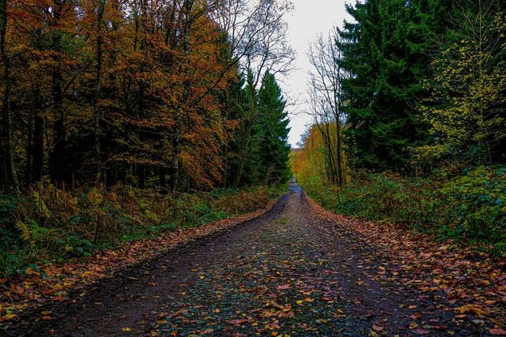 Hôtel pour 2 personnes, avec jacuzzi ainsi que jardin et sauna dans Teuven - 4