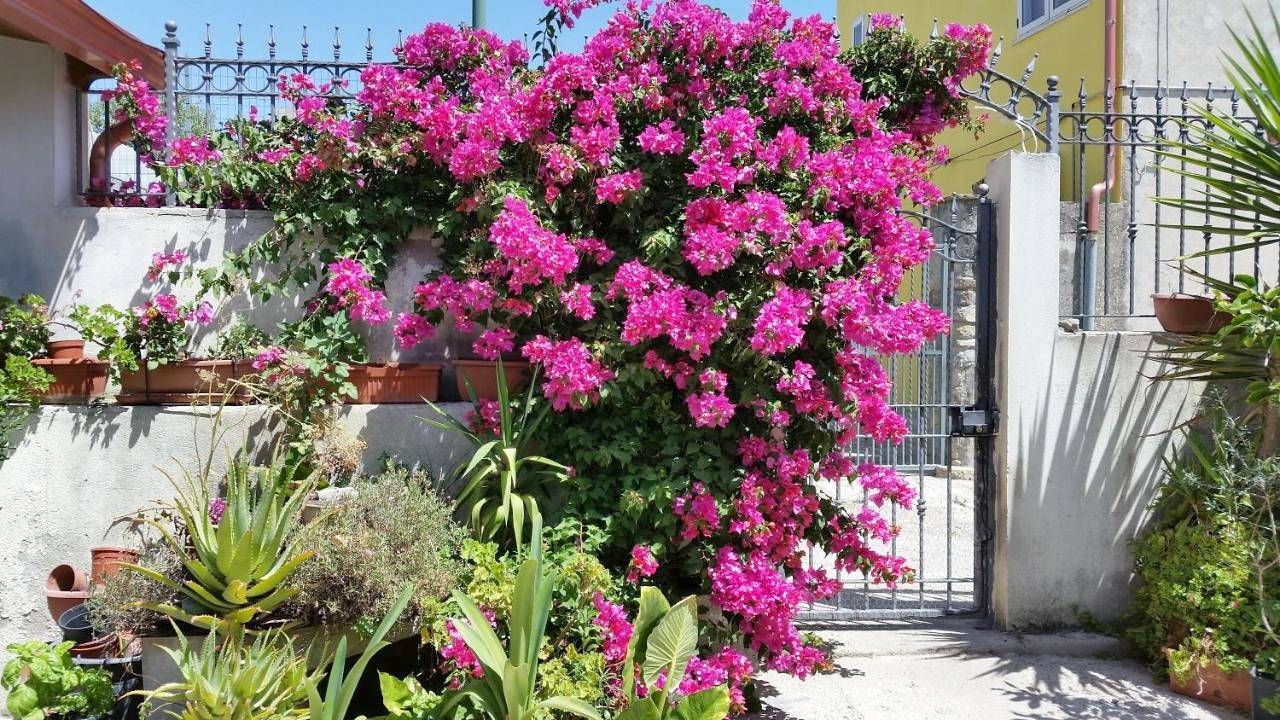 Double or Twin Room with External Bathroom in Mandas, Province de Cagliari