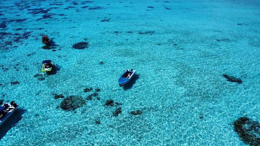 Location de vacances pour 2 personnes, avec terrasse ainsi que jardin et vue, animaux acceptés dans Maupiti - 3