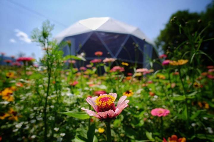 Tente pour 4 personnes, avec jardin et vue, animaux acceptés dans Dolomites - 4
