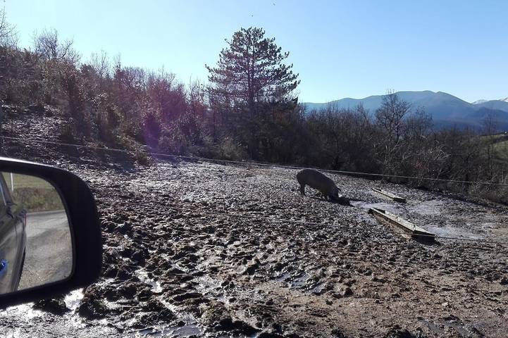 Gîte pour 6 personnes, avec jacuzzi à Lespignan - 4