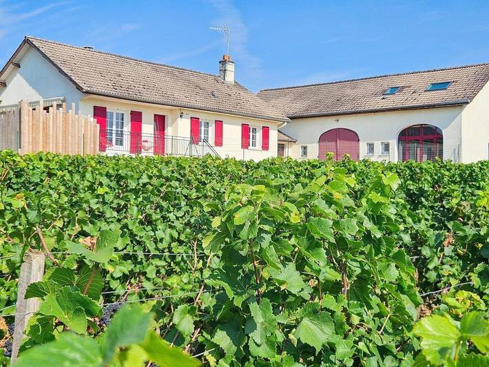 Location de vacances pour 4 personnes, avec vue et jardin à Morey-Saint-Denis - 4