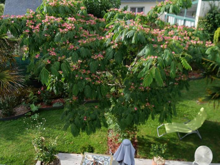 Chambre d’hôte pour 2 personnes, avec jardin et terrasse dans Marais salants de Guérande - 2